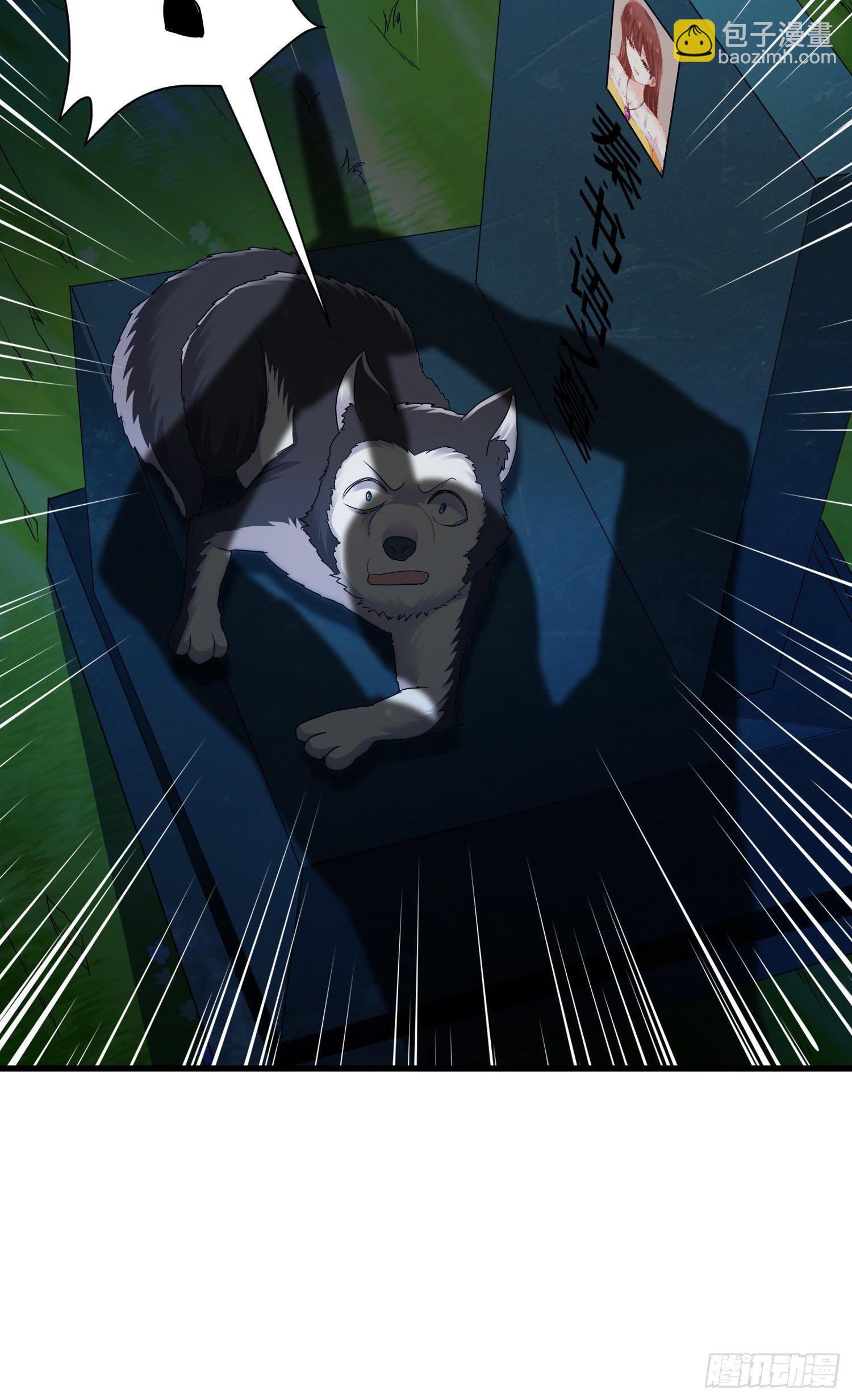 掘墓人24