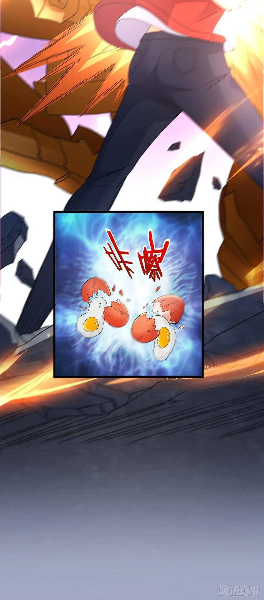 宠物铁蛋33