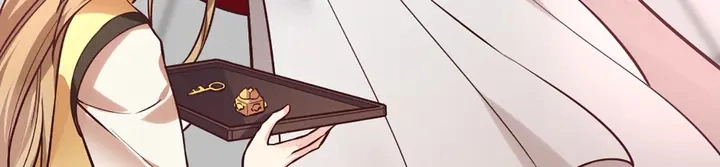 第165话 向世界宣布58