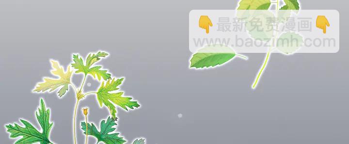 第62话 嗯，真美呀85