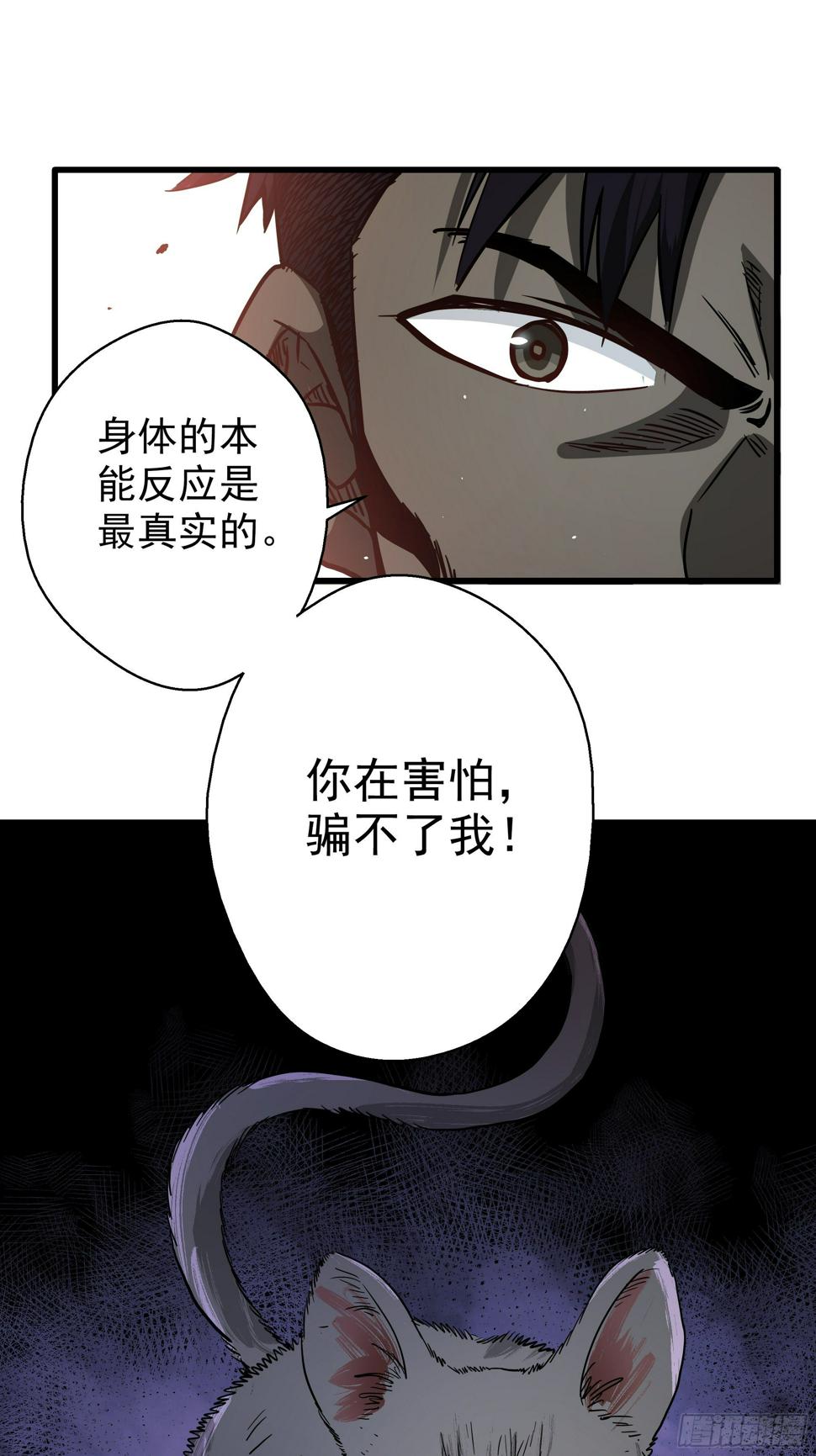 第35话 猫鼠大战-开眼17