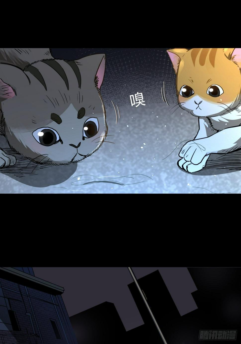 第15话 猫鼠大战-线索27