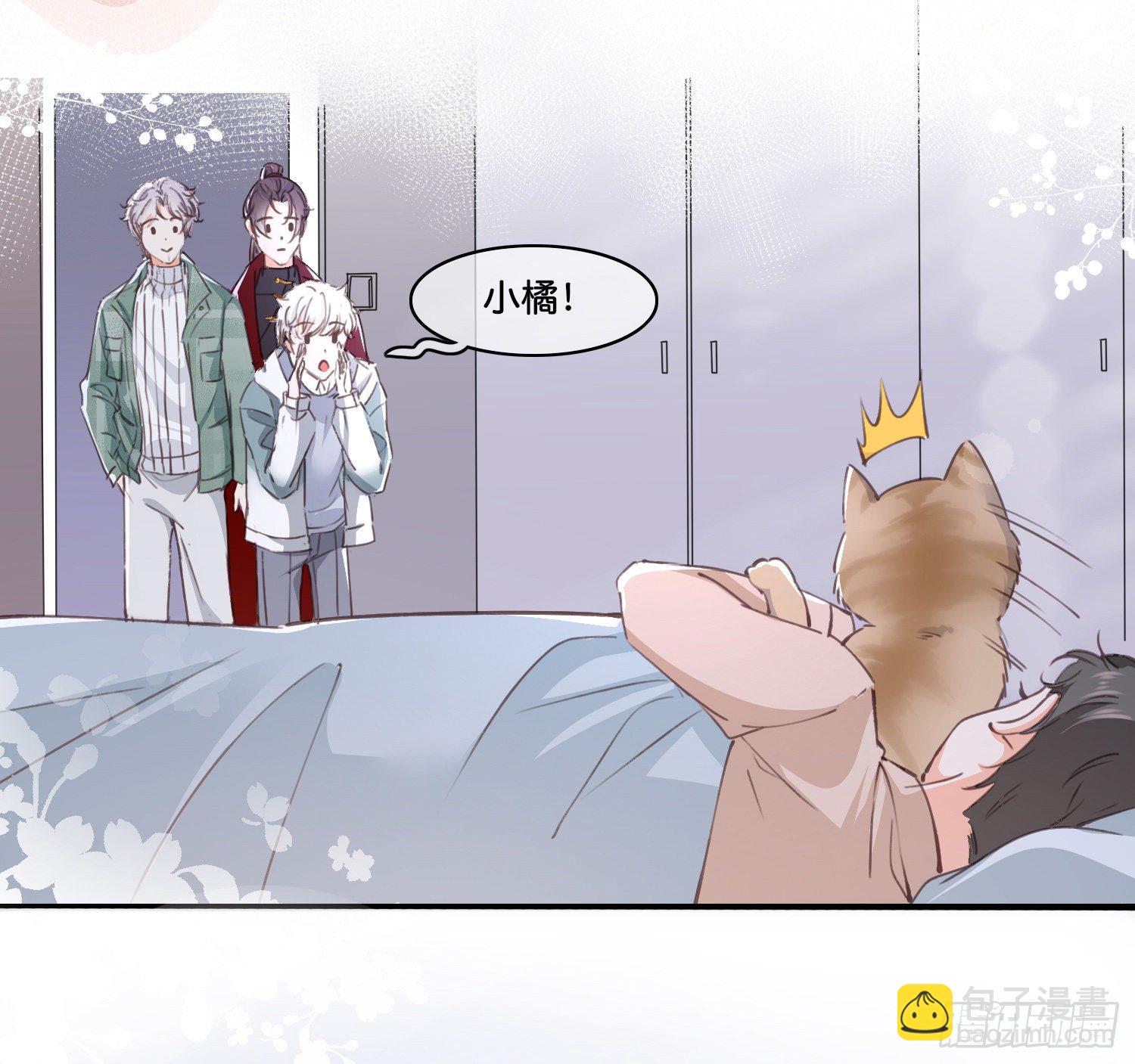 第拾贰话 灵猫的诉求（七）17