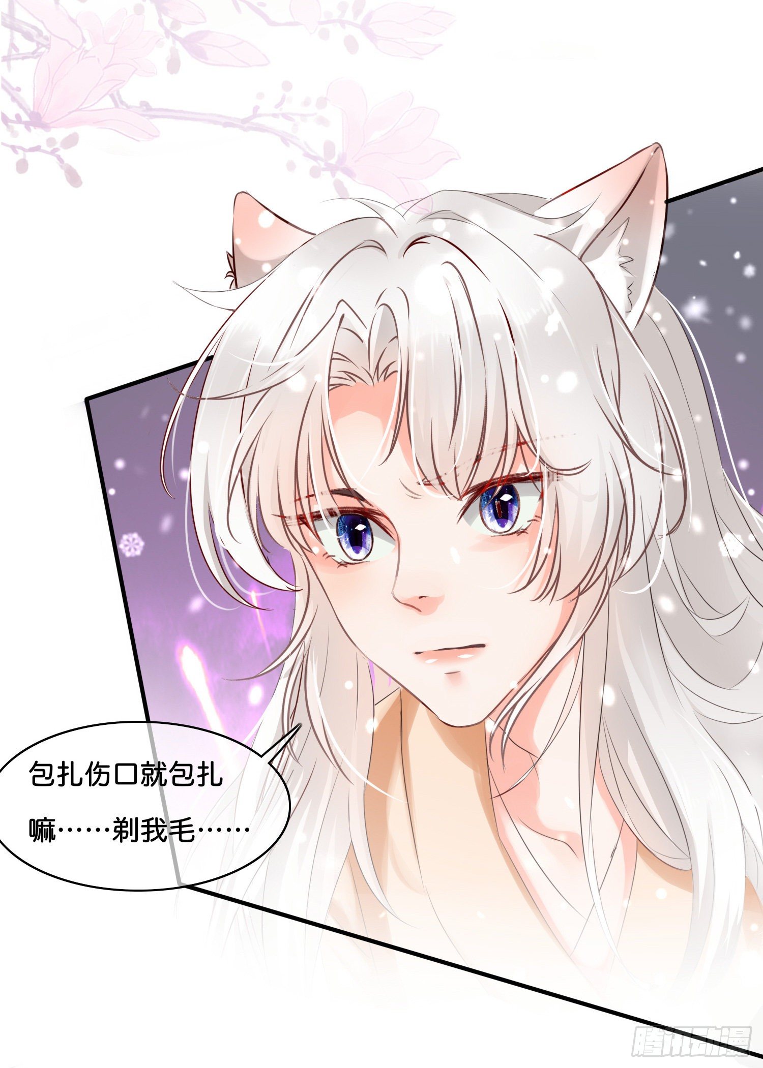 第拾壹话 灵猫的诉求（六）3