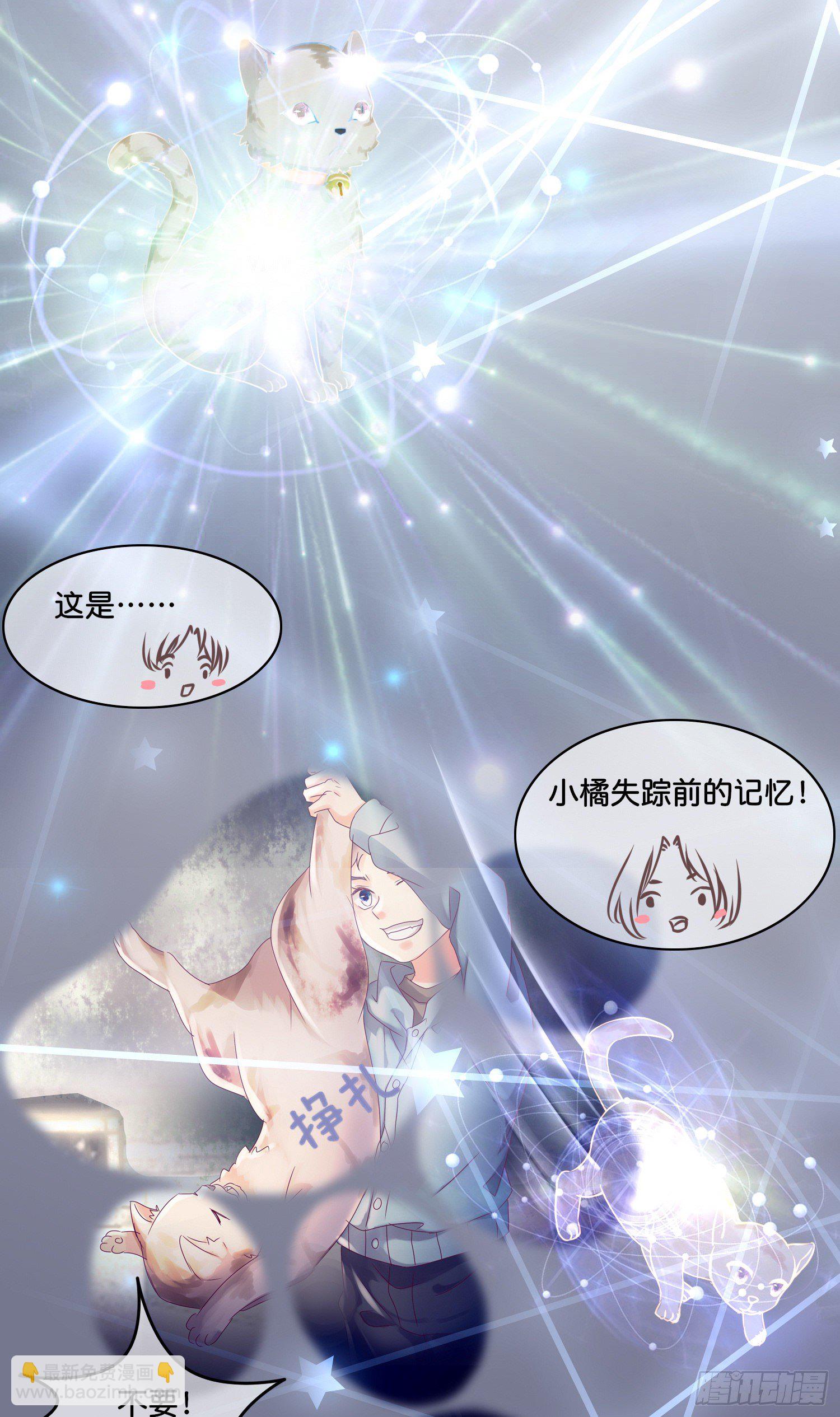 第拾壹话 灵猫的诉求（六）15