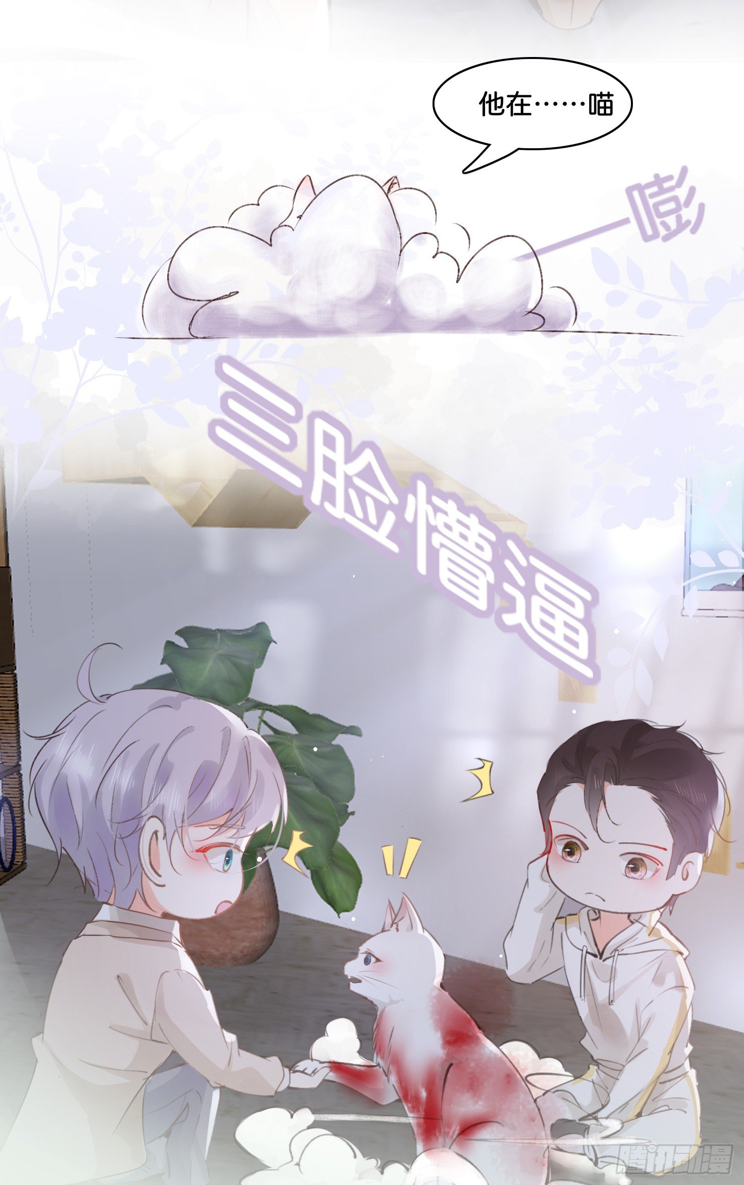 第玖话  灵猫的诉求四5