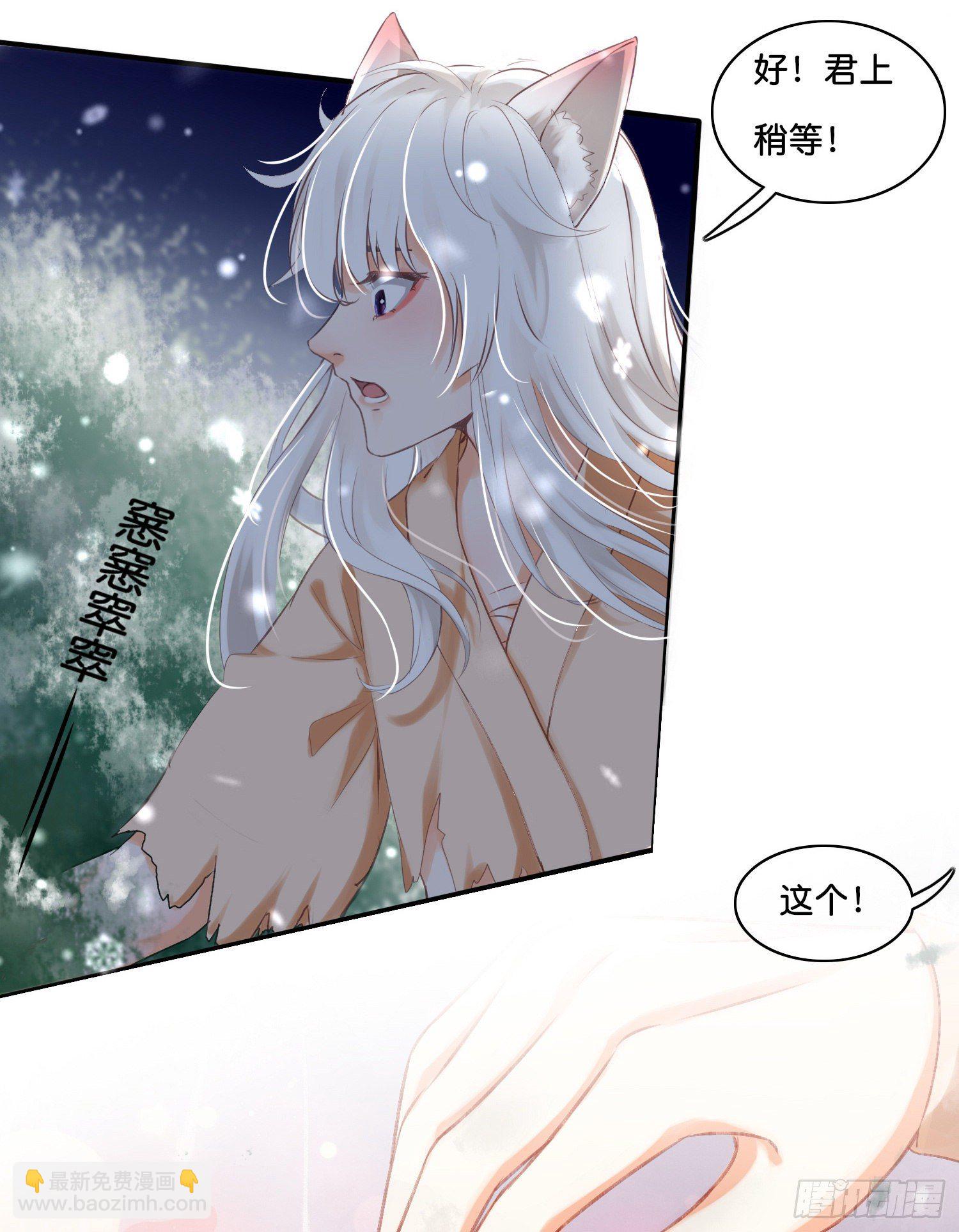 第拾壹话 灵猫的诉求（六）11