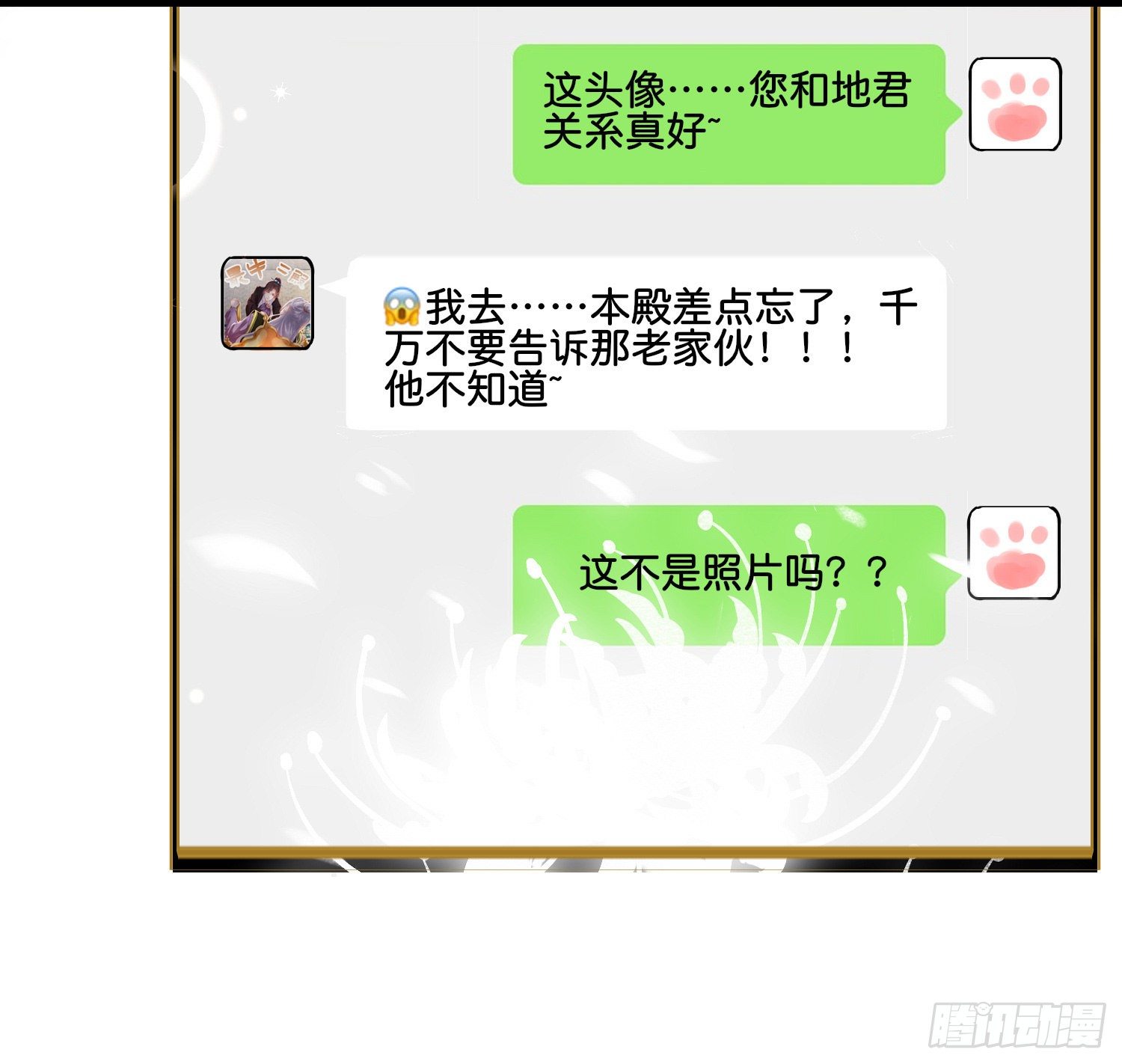 第玖话  灵猫的诉求四24