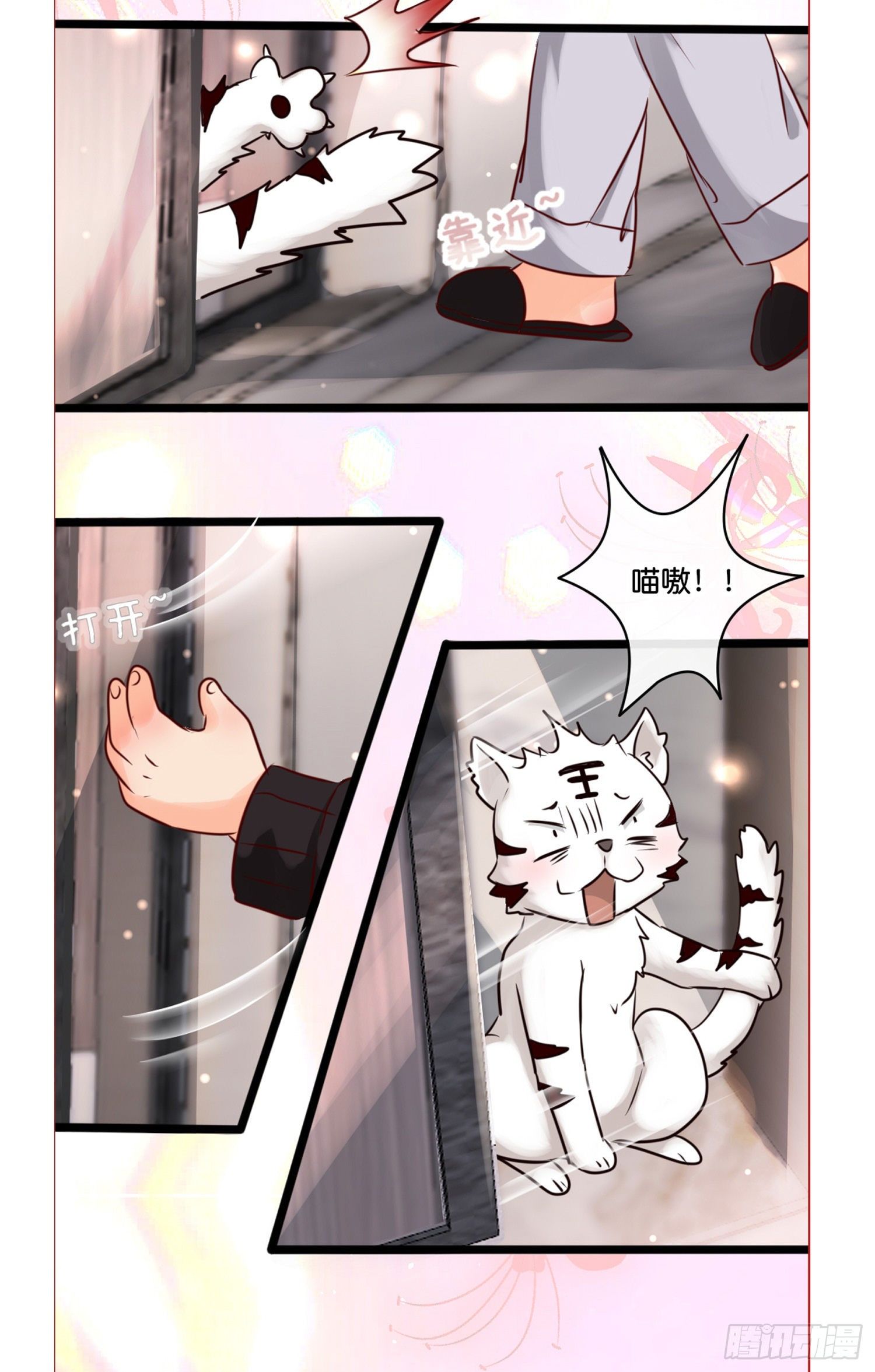 第拾壹话 灵猫的诉求（六）40