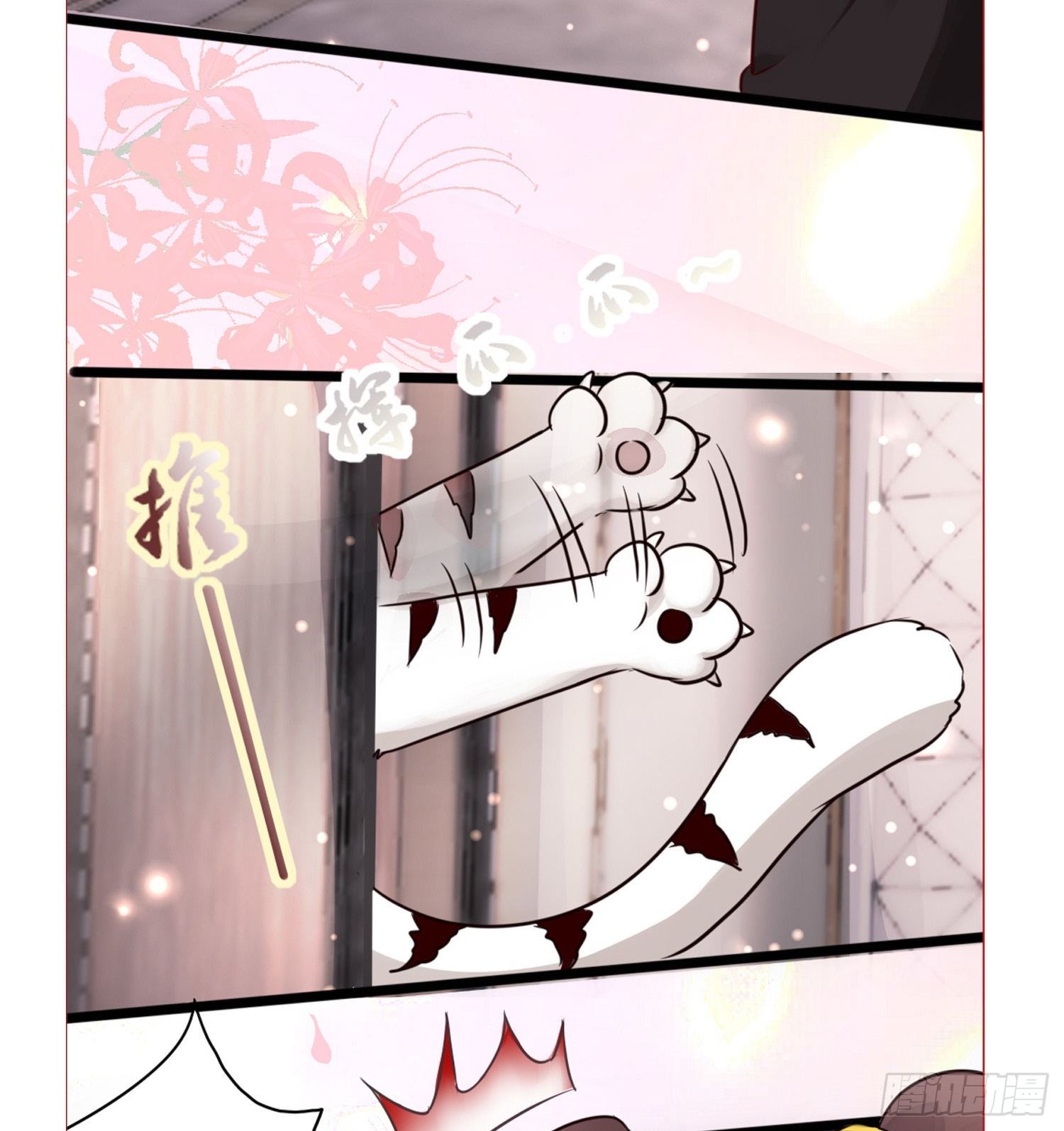 第拾壹话 灵猫的诉求（六）37