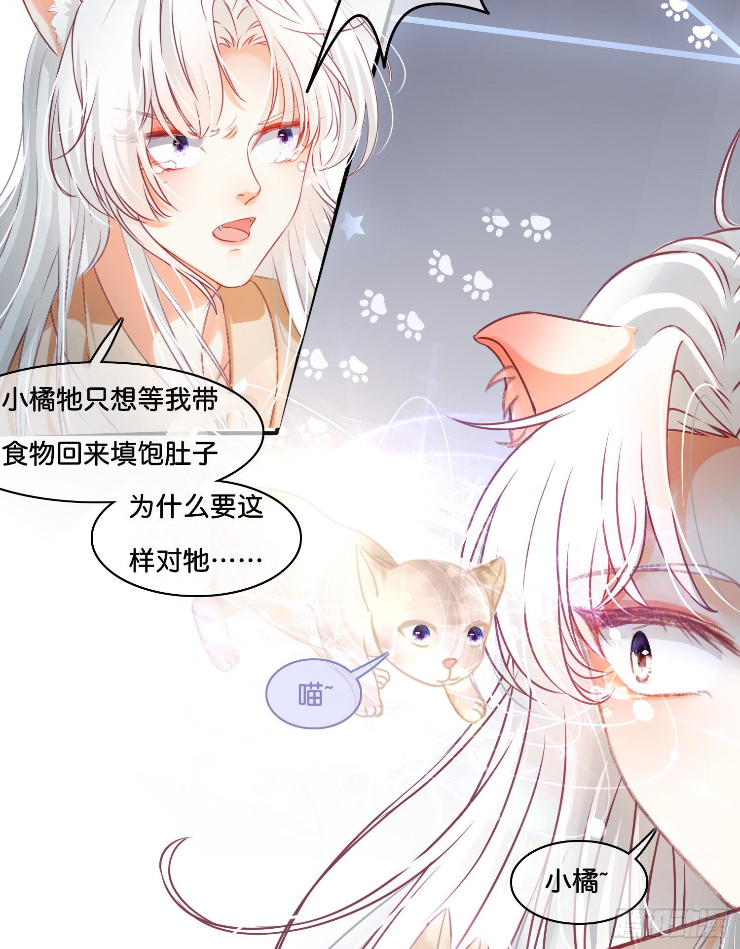 第拾壹话 灵猫的诉求（六）17