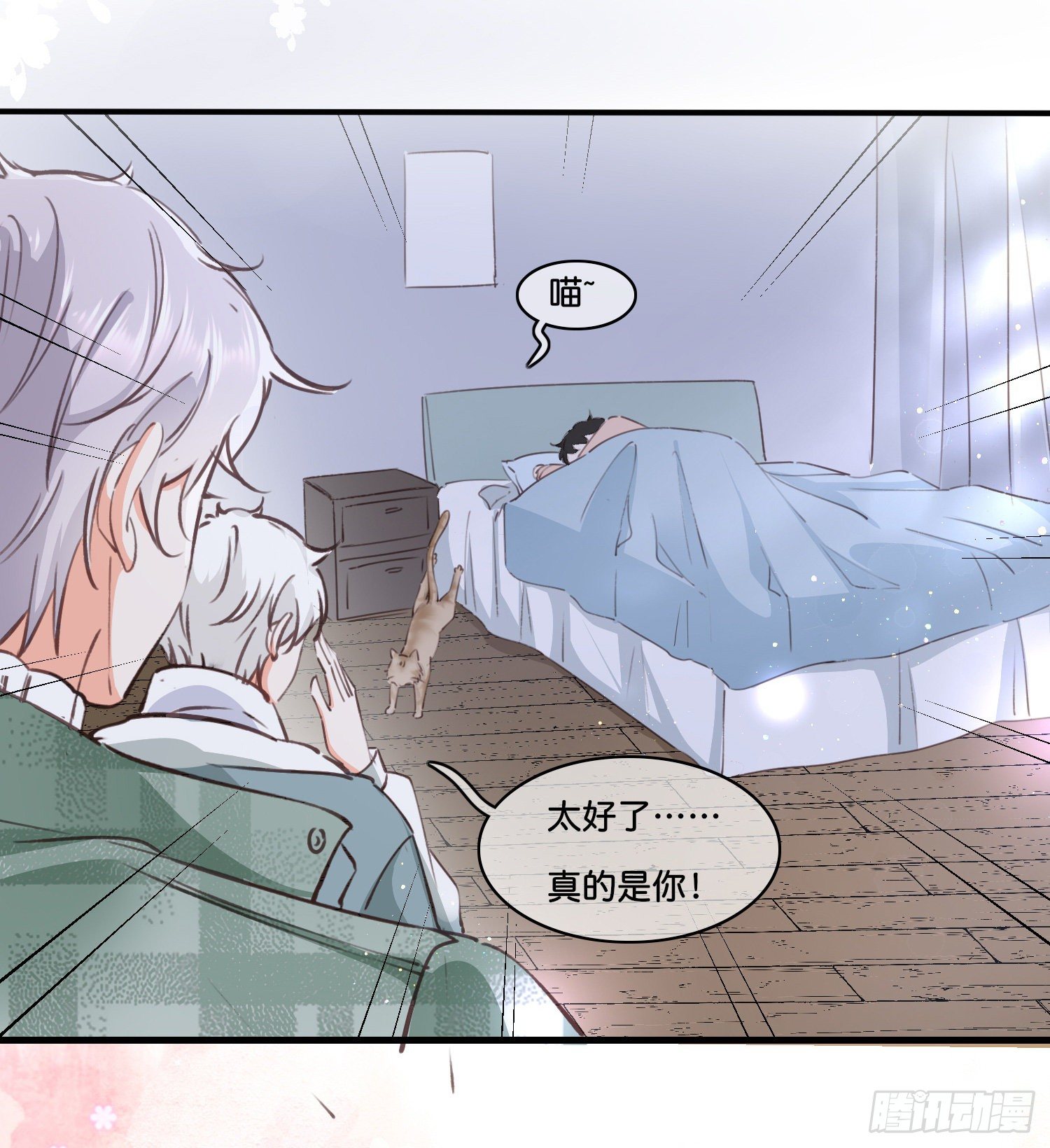 第拾贰话 灵猫的诉求（七）18