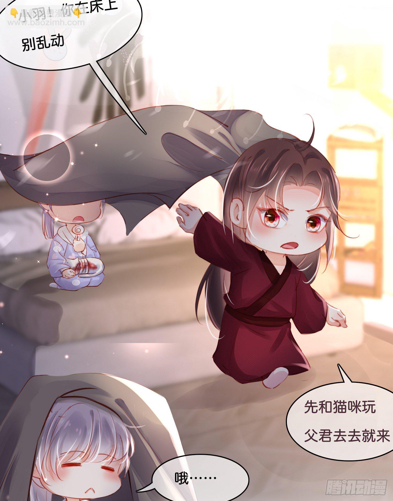 第玖话  灵猫的诉求四18