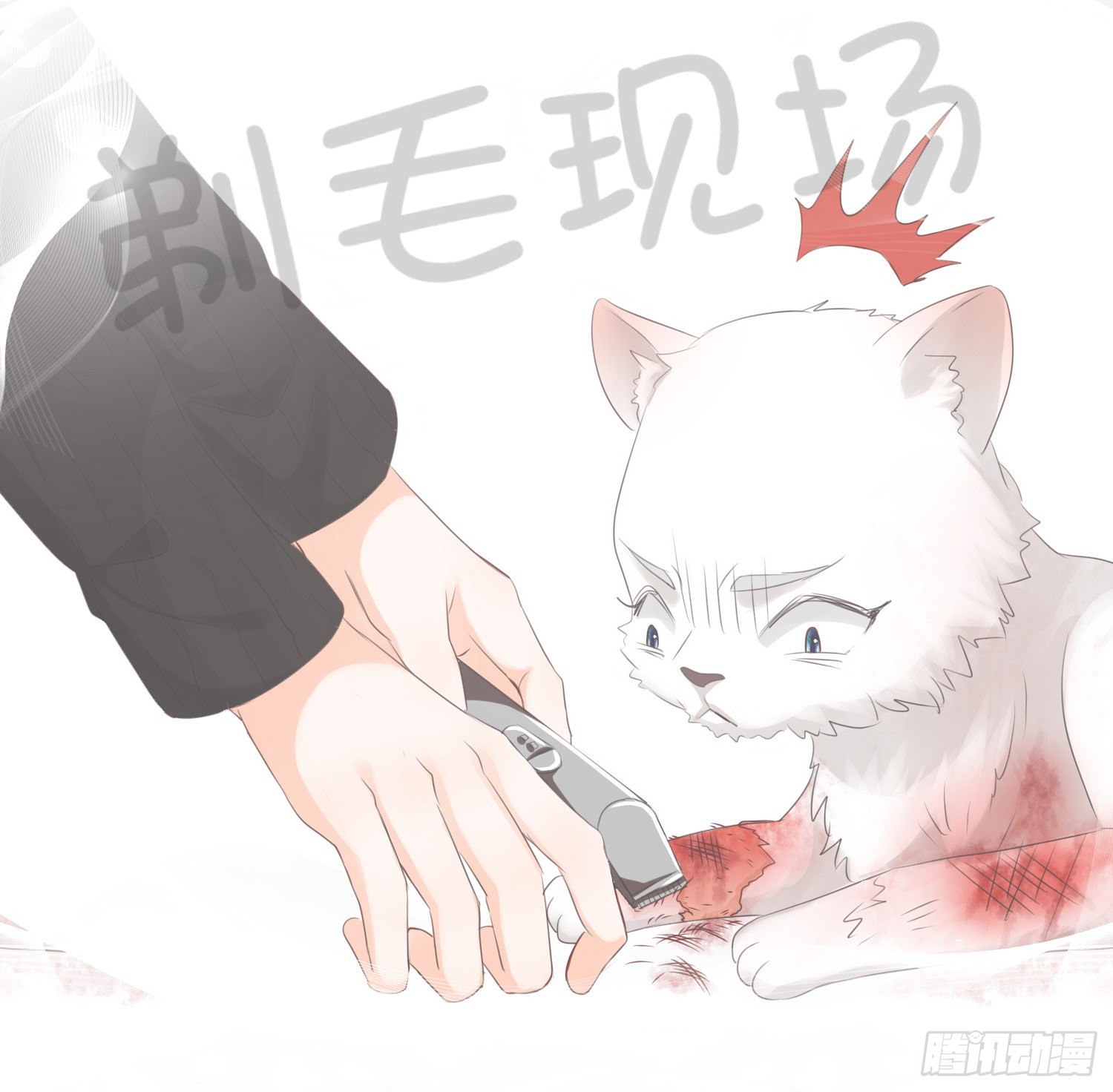 第拾壹话 灵猫的诉求（六）4