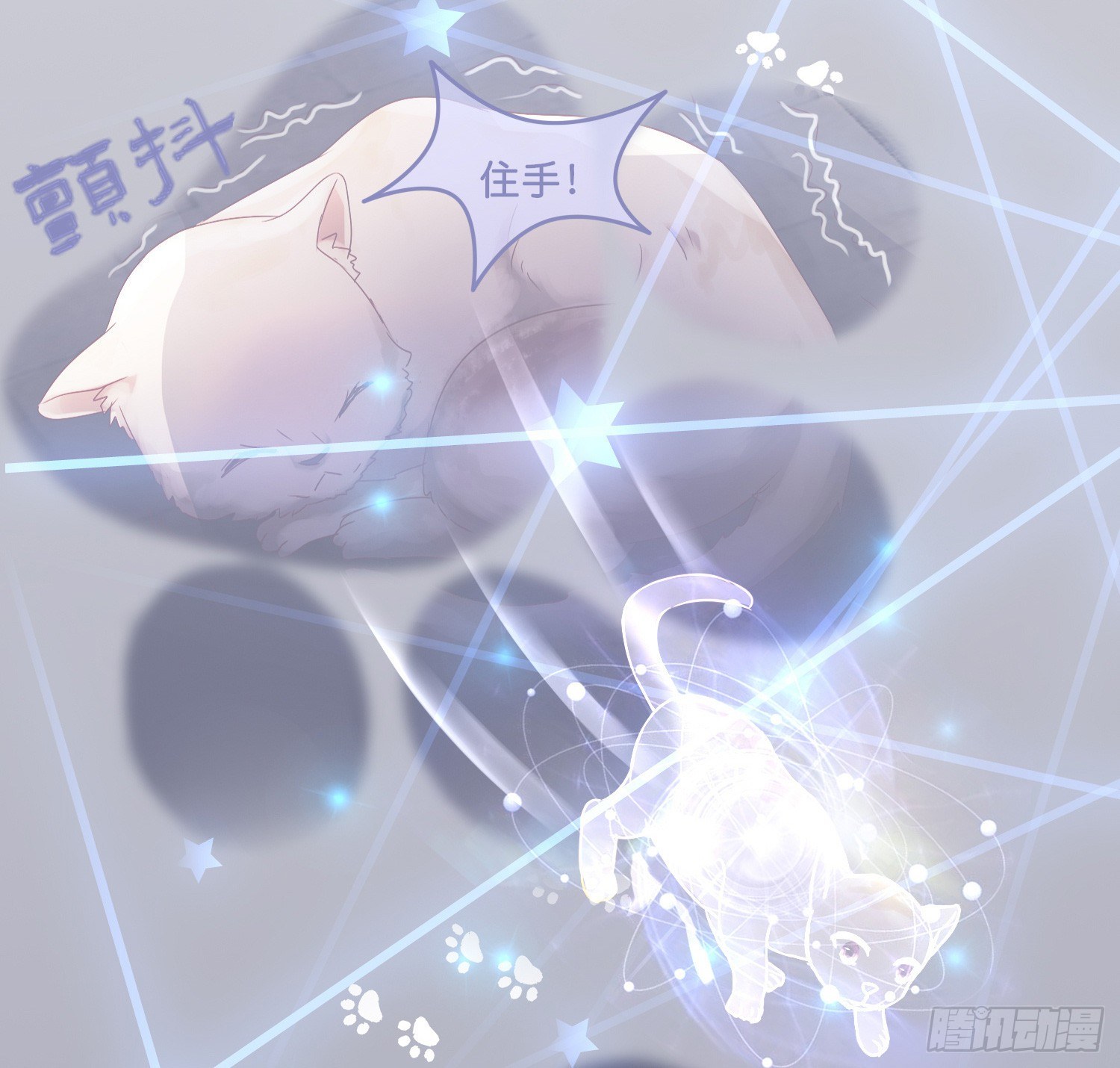 第拾壹话 灵猫的诉求（六）19
