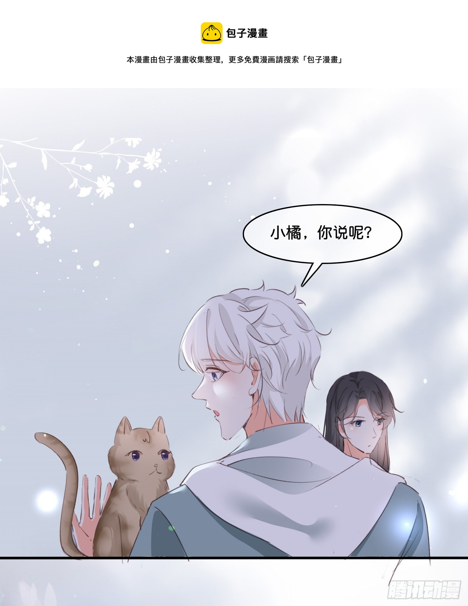第拾贰话 灵猫的诉求（七）27