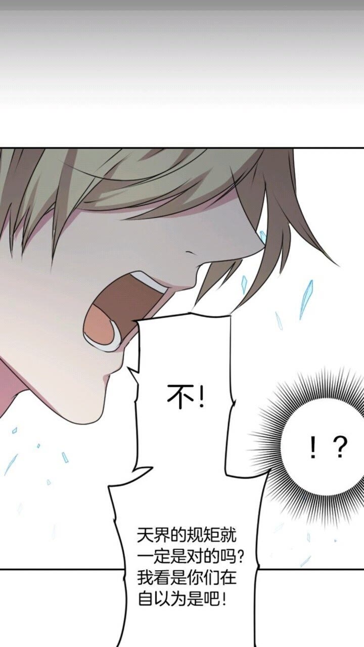 第54话 逆天而行9