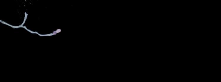 第10话 心如冷铁67