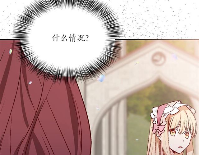 第一季完结篇 花园茶会77