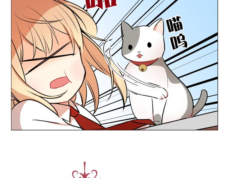 第13话 可恶的猫咪！9