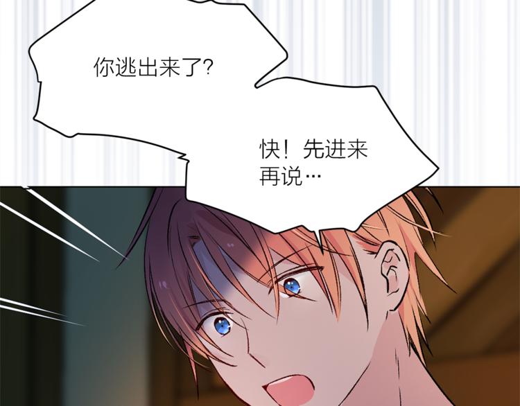 第29话 猫王子的秘密9