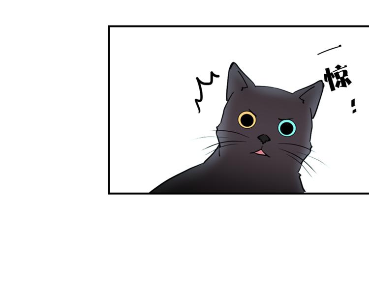 第1+2话 你好小猫咪141