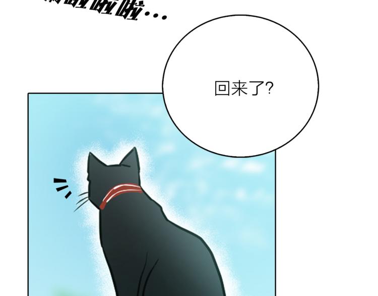 第1+2话 你好小猫咪334