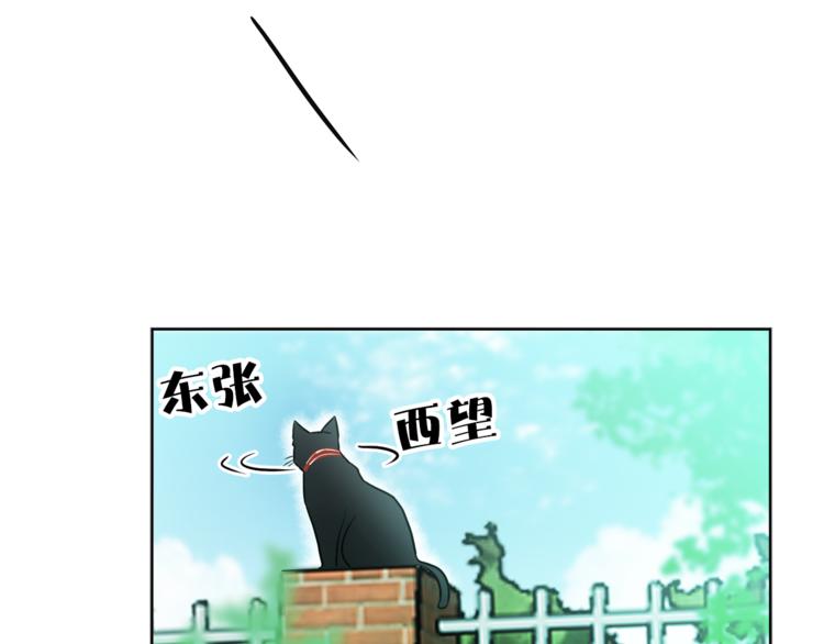第1+2话 你好小猫咪243