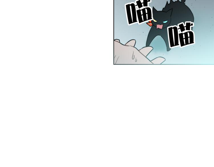 第1+2话 你好小猫咪238