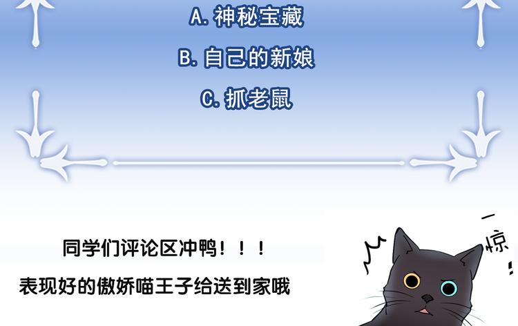第1+2话 你好小猫咪342