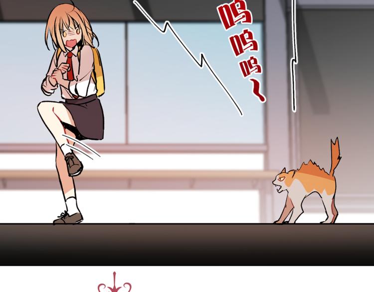 第13话 可恶的猫咪！7