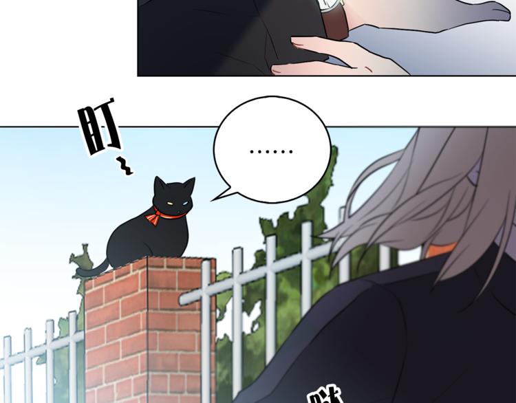 第1+2话 你好小猫咪247