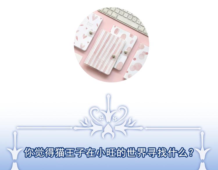 第1+2话 你好小猫咪341