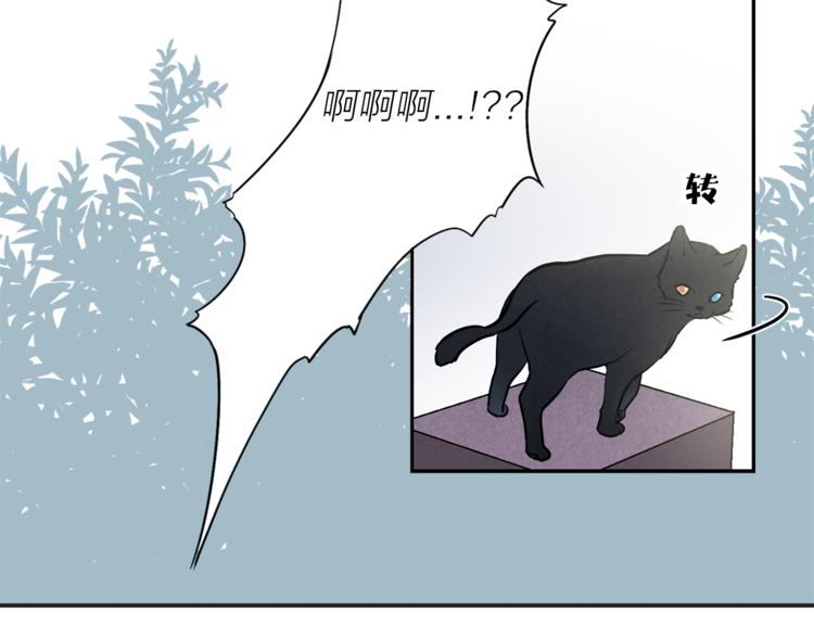 第1+2话 你好小猫咪139