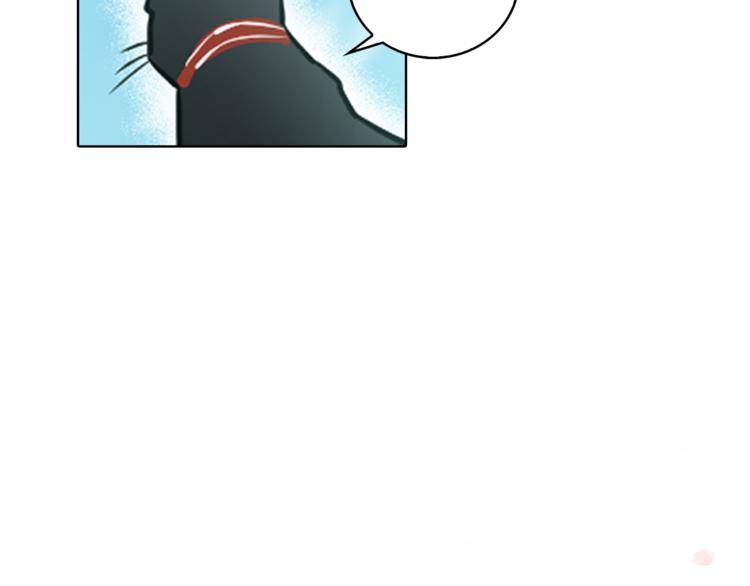 第1+2话 你好小猫咪337