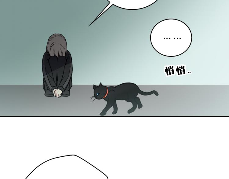第1+2话 你好小猫咪230