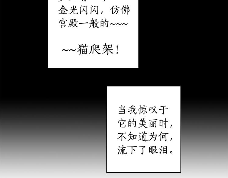 第1+2话 你好小猫咪162