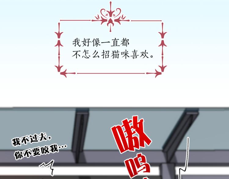第13话 可恶的猫咪！6