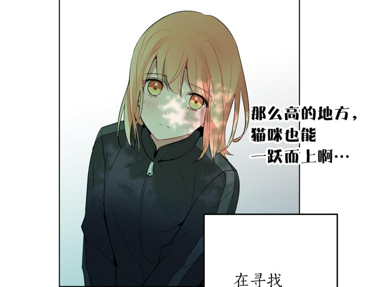 第1+2话 你好小猫咪245