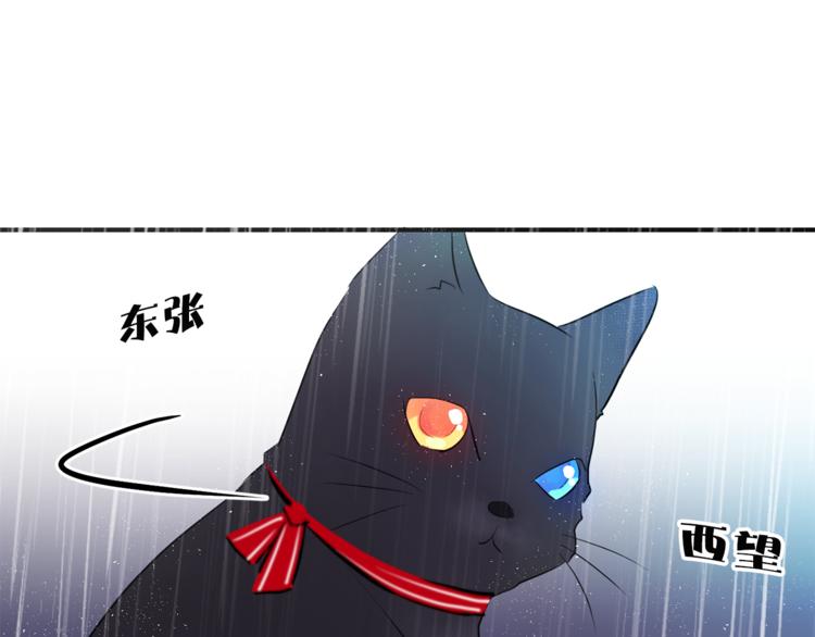 第3话 穿越到猫王国！63