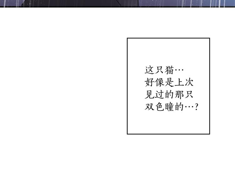 第3话 穿越到猫王国！64