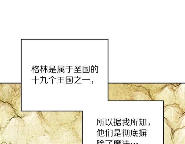 第31话 圣国魔法师66