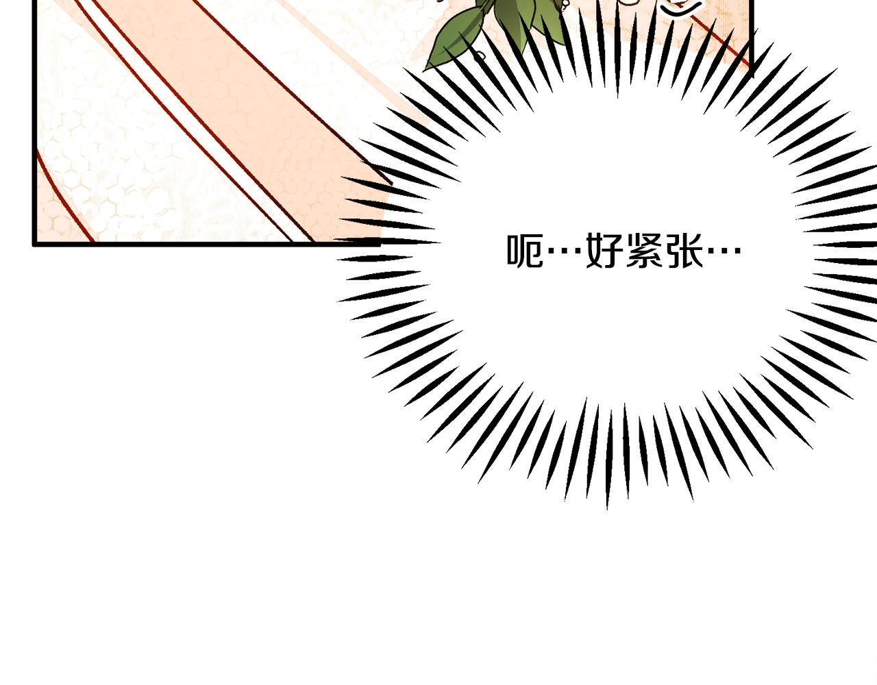完结篇 结婚7