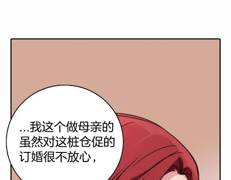 第17话 订婚背后的危机18