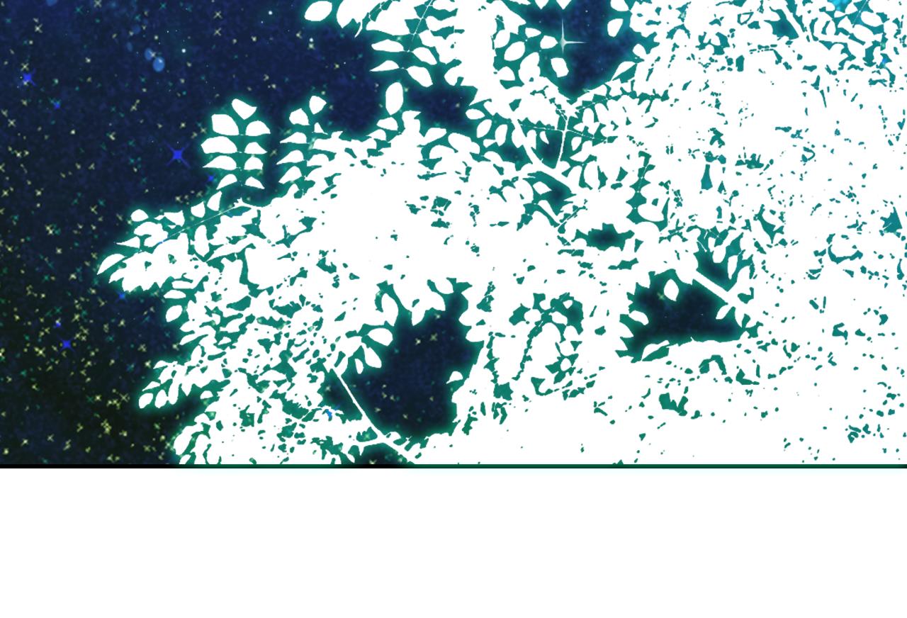 第53话 作恶的证据114