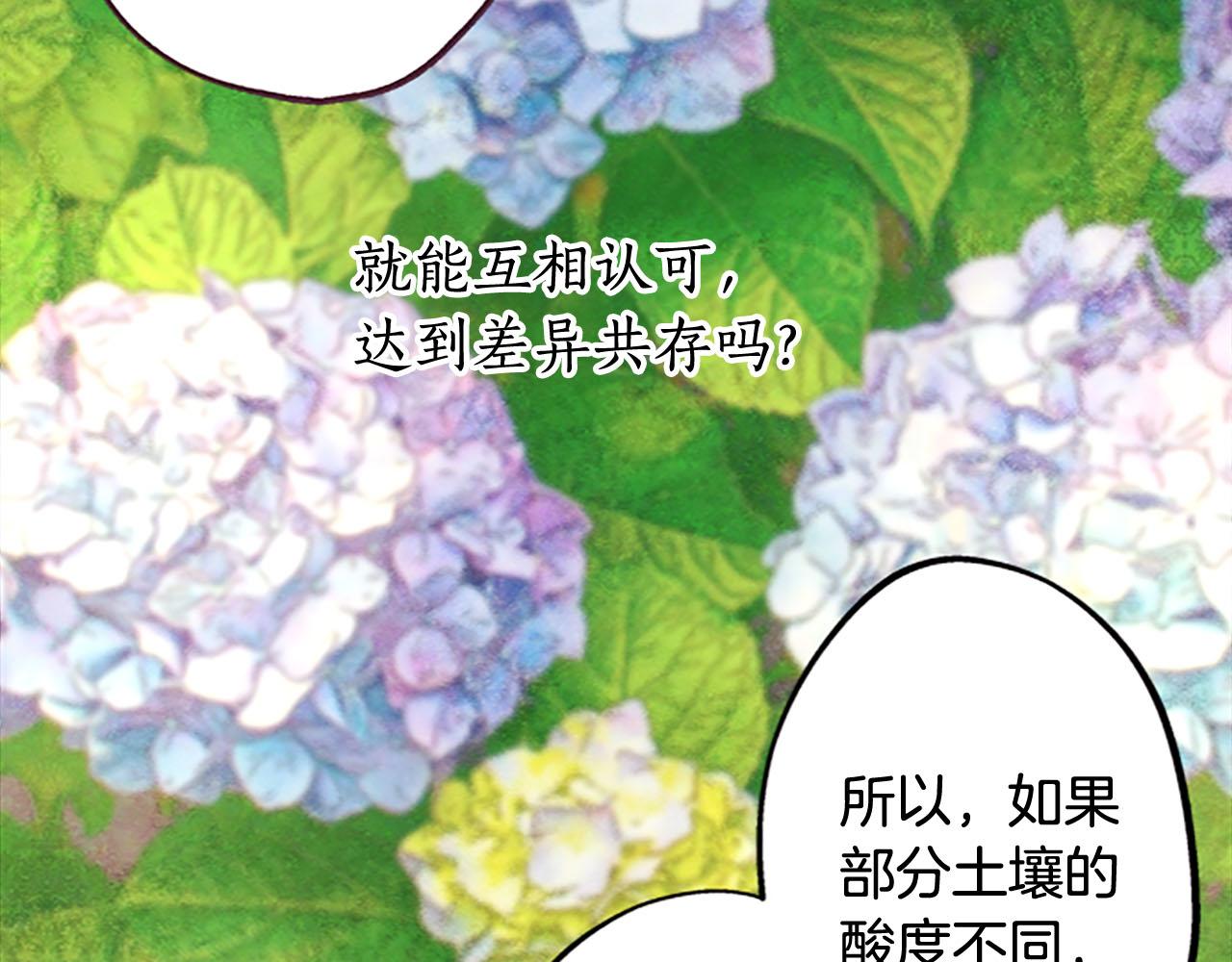 完结篇 蓝色的花108