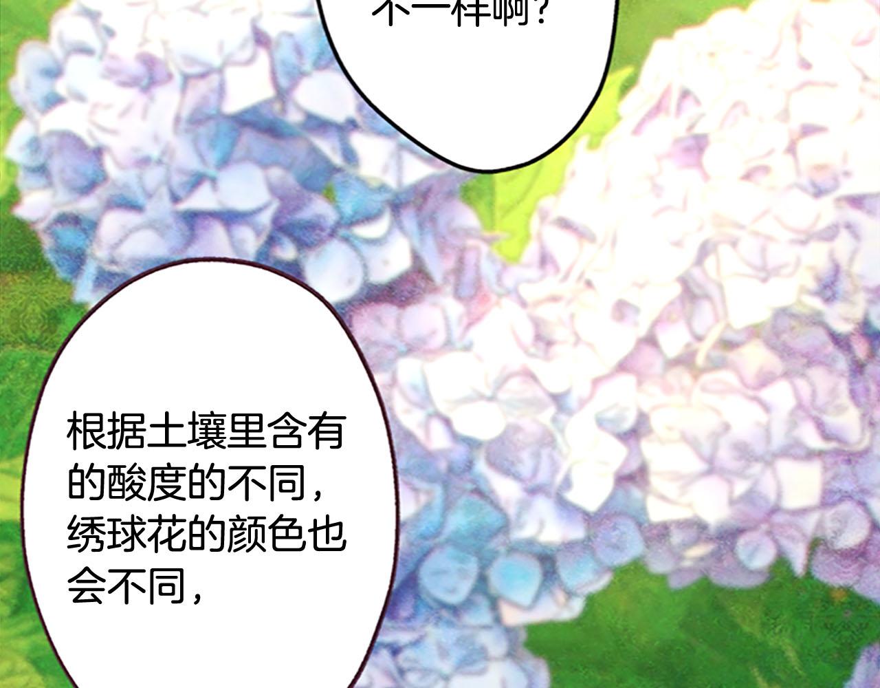 完结篇蓝色的花107