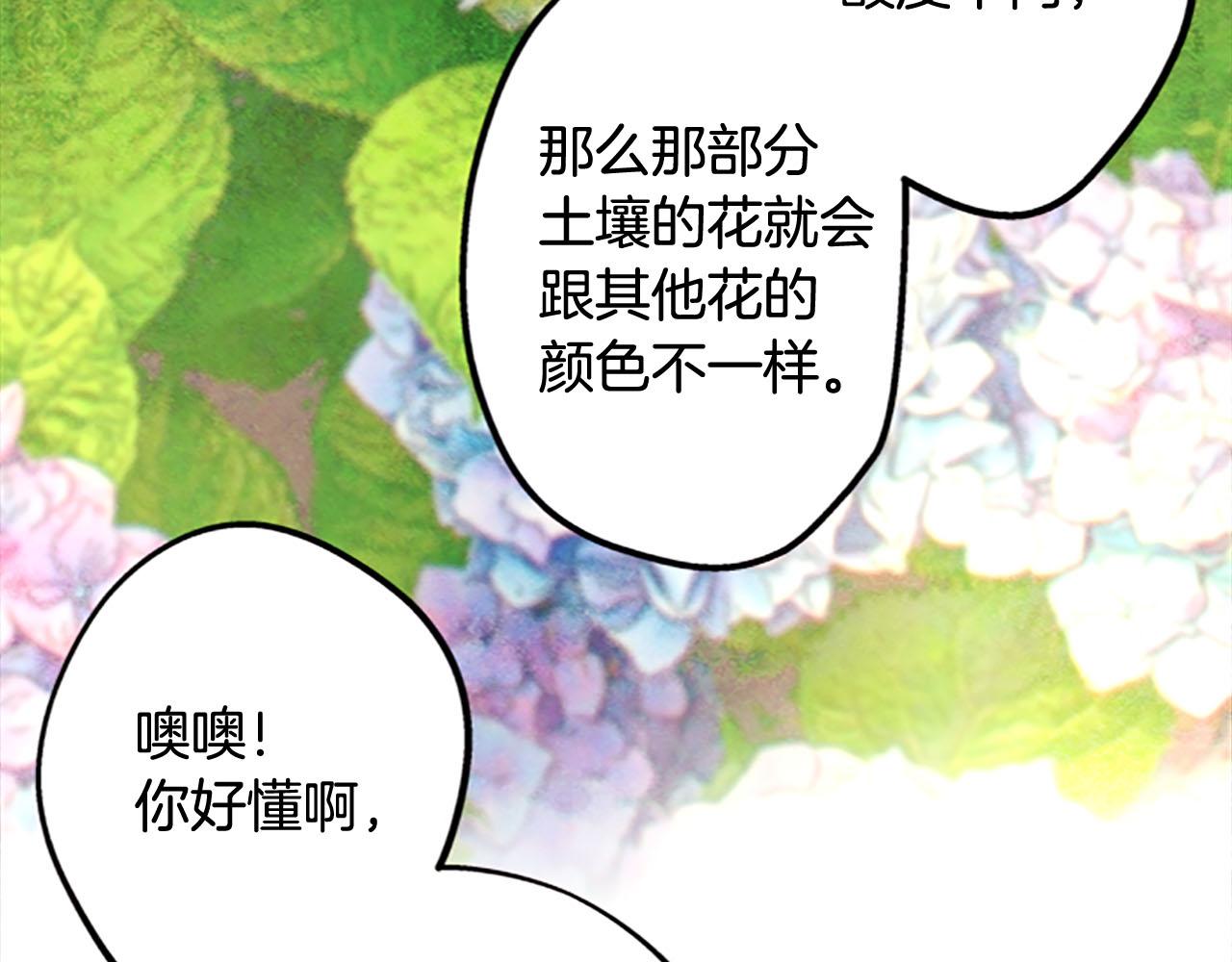 完结篇蓝色的花109