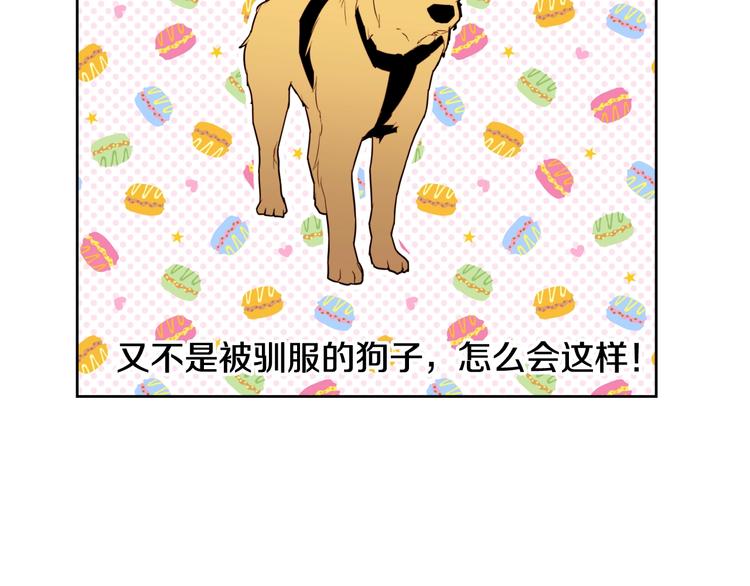 第14话 苦读猛男秘籍121