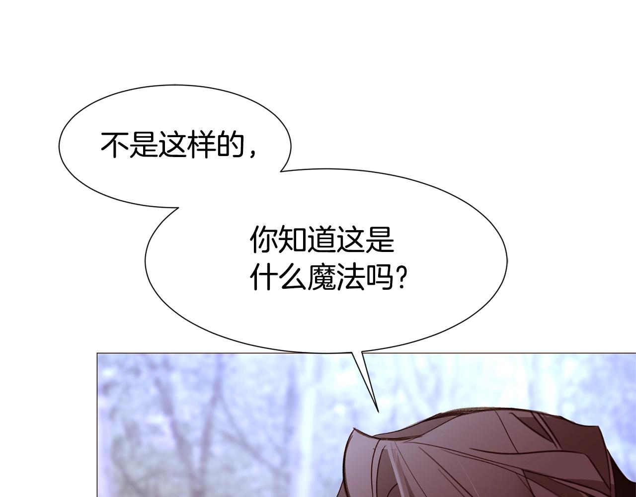 第70话 魔法庆典11